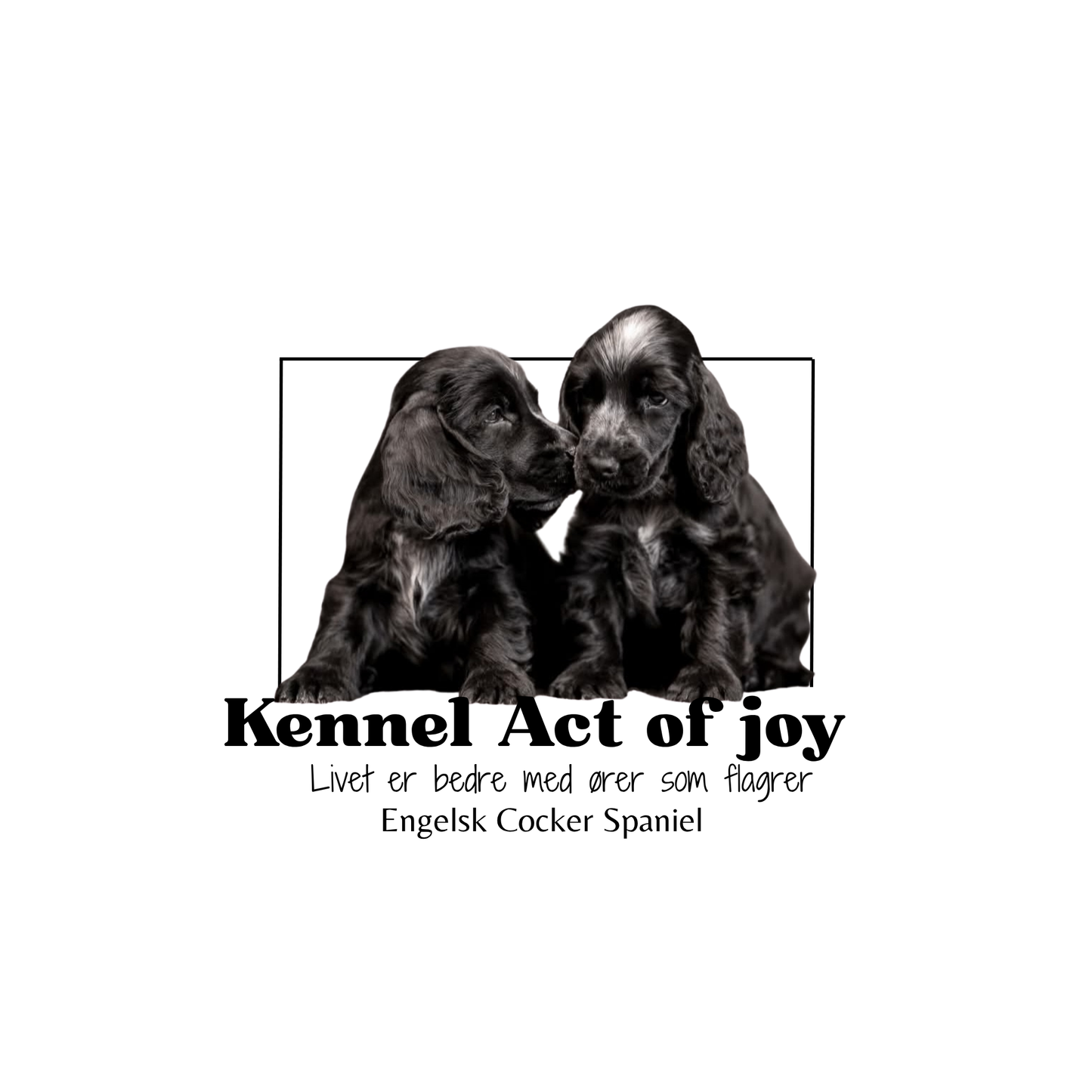🐾 Personlig tilpasset design eller logo