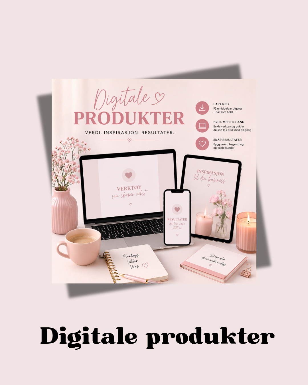 Digitale nedlastninger 💻