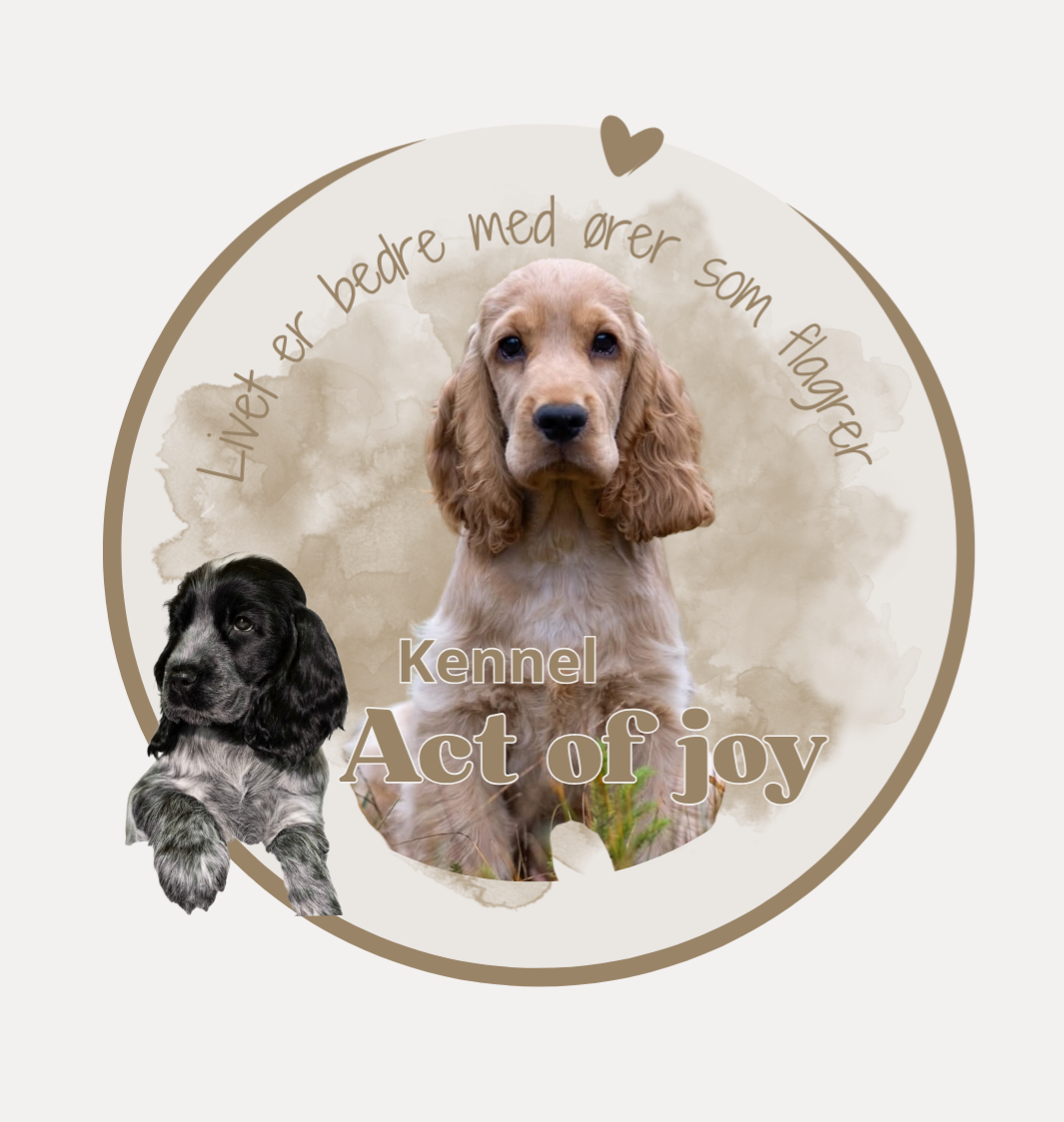 🐾 Personlig tilpasset design eller logo